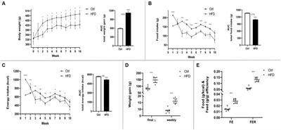 The association between the size of adipocyte-derived extracellular vesicles and fasting serum triglyceride-glucose index as proxy measures of adipose tissue insulin resistance in a rat model of early-stage obesity